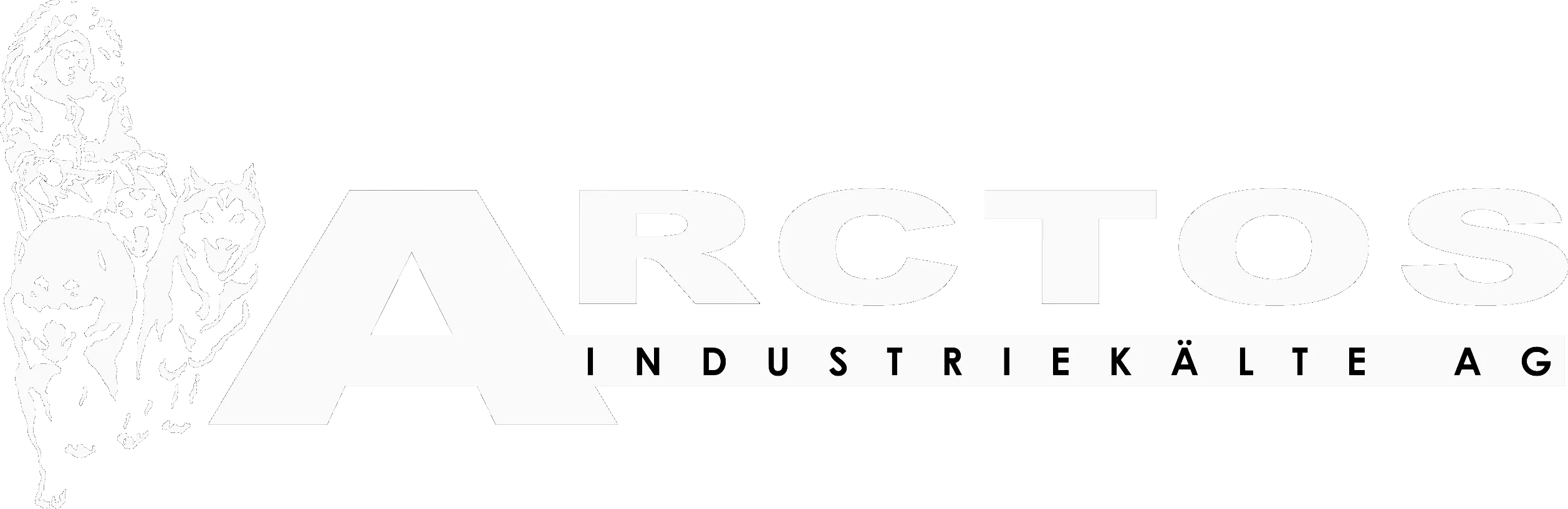 Arctos Industriekälte