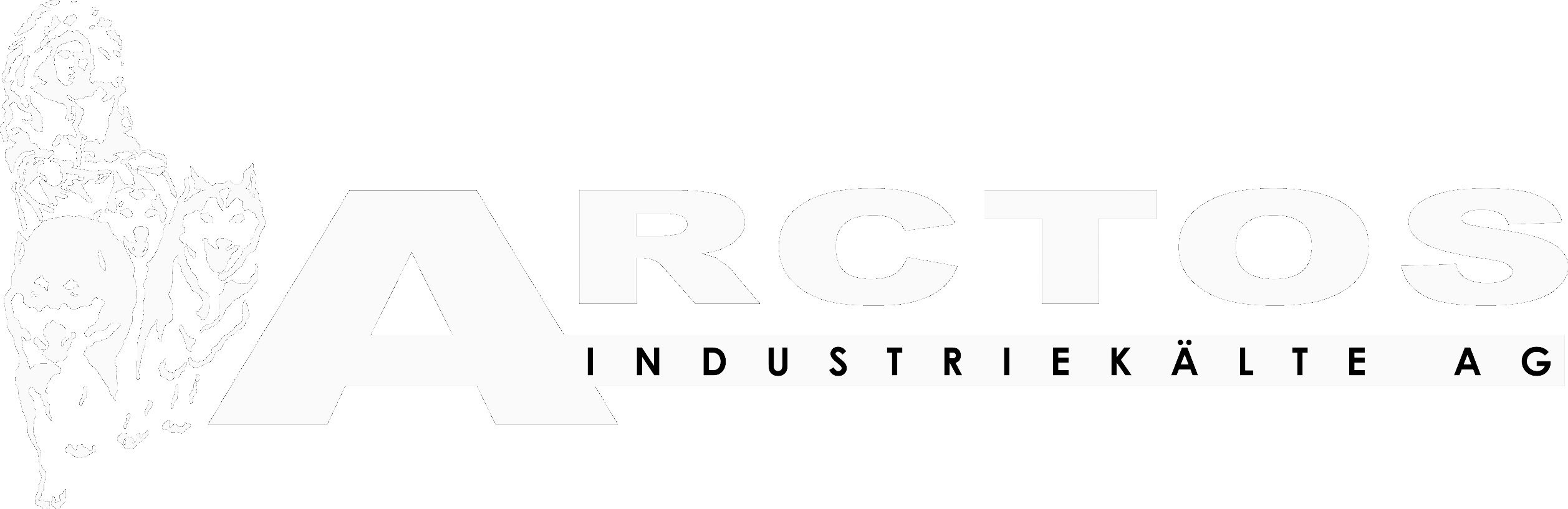 Logo ARCTOS Industriekälte AG